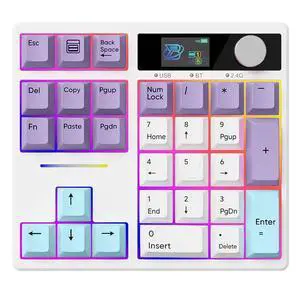 X BOYI TD31Pro Number Pad Keyboard,Hot Swap Mechanical Numeric Keypad with Knob& Screen Wireless BT5.0/2.4G/Type-C Wired Numpad with RGB Gasket Structure Programmable for Win/Mac/Gaming (Purple) X BOYI TD31Pro Number Pad Keyboard,Hot Swap Mechanical Numeric Keypad with Knob& Screen Wireless BT5.0/2.4G/Type-C Wired Numpad with RGB Gasket Structure Programmable for Win/Mac/Gaming (Purple)