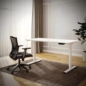 MAYEERTY Electric Standing Desk, 55"x28" Adjustable Height Dual Motor,White