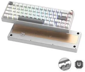 Womier SK65 Wireless Mechanical Gaming Keyboard with Knob, 60 Percent Aluminium Keyboard for PC, Bluetooth 5.0/2.4GHz/USB-C Wired, Hot Swappable Custom Lineaner Switch, RGB Backlit (Silver V2)
