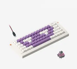 KBDcraft 02Lilith 60% 5.5deg Ergonomic Keyboard with OEM Keycaps, Lego-Compatible Case, Gasket Mount, Wired, RGB, Hot-Swappable, Linear Switch, QMK, Vial for Win/Mac, Full Kit, White (Lilith 60%)