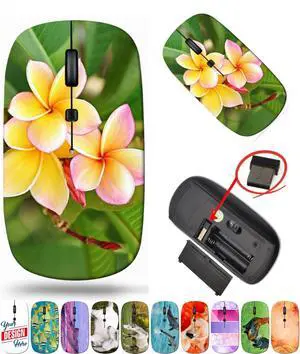 maizi Laptop Mouse for Laptop Chromebook Computer, Laptop Mice Image ID: 19928199 Beautiful Frangipani 2.4 Ghz Travel Mouse Portable Made in The USA