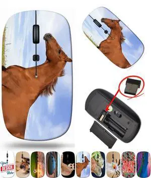 maizi Laptop Mouse Wireless for Chromebook Laptop PC NotebookLaptop Mouses Wireless Image ID: 27572854 Russian Don horse running through th Portable 2.4G USB Receiver American-made