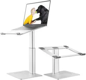 VECOFO Laptop Stand for Desk, Ergonomic Aluminum Laptop Stand Adjustable Height from 7-15", Sitting and Standing Laptop Riser for 10-17" Notebook (Silver)