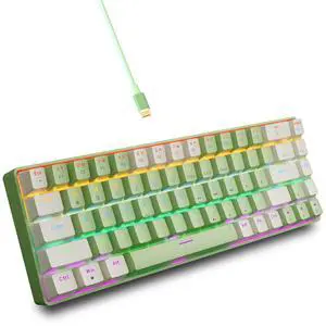 Wired Mechanical Gaming Keyboard, 65% Layout RGB Backlit USB C, Hot Swappable Tactile Switch, Double-Shot PET Keycaps, Office, Win/Mac, White&Green