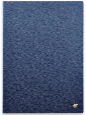 iFLYTEK AINOTE 2 Paper Tablet 10.65" Protective Case-Blue