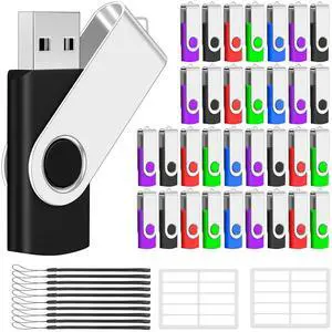 Aretop 2GB Bulk Flash Drives 100 Pack USB 2.0 Flash Drive Bulk Swivel Memory Stick Jump Drive Pen Drive with Lanyards (Mixed Colors 100pcs)