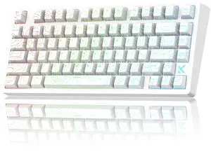 CMOKIFULY x MCHOSE Jet75 Magnetic Keyboard,75% Wired Gaming Keyboard Hall Effect Switch,Rapid Trigger Mode,8K Hz Polling Rate,0.1ms Lantency,Rhythmic RGB Backlight (Topograhic White, Starburst Switch)