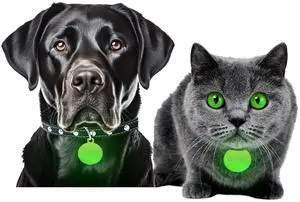 _Mega Brand Dog & Cat Collar Glow Tags  Worlds Most Powerful Glow in The Dark Pet Collar Glow Tags to Keep Your Cats & Dogs Safe at Night  Enhance Visibility-12+ Hours Glow Time  Solar Powered