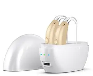 _Mega Brand Hearing Aids for Seniors,Rechargeable Hearing Amplifier with Noise Cancelling,Adjustable Volume Control,One Pair Hearing Assist Devices with Charging Box
