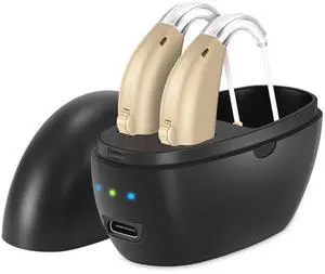 _Mega Brand Hearing Aids, Hearing Aids For Seniors with Noise Reduction Function and Volume Control, Hearing Aids Rechargeable,Apply To Hearing Devices For Seniors and Adults,Black