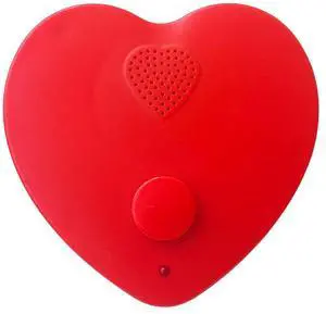 _Mega Brand Voice Recorder for Stuffed Animal, 5min Personal Voice Message Recordable Sound Recorder Chips Module for Christmas Plush Toy and Manual DIY Creative Sound Presents for Boyfriend