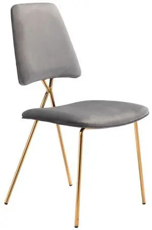 Chloe Dining Chair (Set of 2) Gray & Gold