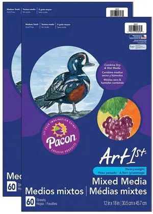 UCREATE Mixed Media Art Paper, Heavyweight, 12" x 18", 60 Sheets Per Pack, 2 Packs