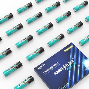 POWER FLASH Alkaline Battery, Long-Lasting Power, Leakproof Design, 10 Years Shelf Life (24)