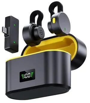 Wireless Lavalier Microphone One-To-Two Portable Noise-Reduction Charging Case For Indoor And Outdoor Live