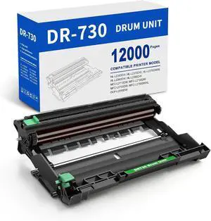 Ennovor Compatible DR730 Drum Unit Replacement for Brother DR-730 DR 730 to Use with DCP-L2550DW MFC-L2710DW L2750DW HL-L2350DW L2370DW L2390DW HL-L2395DW Printer