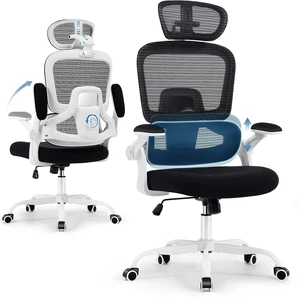 Office Chair with Adjustable Lumbar Support, Ergonomic Desk Chairs, White Office Chair with Adjustable Lumbar Support, Ergonomic Desk Chairs, White