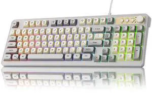SEUNKWANG EWEADN G98 RGB Gaming Keyboard Wired, Retro Creamy Membrane Keyboards with Media Knob, Number Pad RGB Backlit, 98 Keys Quite Membrane Computer Keyboard for MAC Xbox PC Gamer - White&Grey