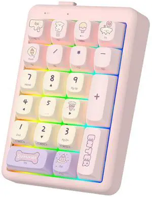 FOPATO NumberPad,21Keys HotSwappable Numpad,Bluetooth5.0/2.4G/Type-C Wireless Numeric Keypad,Rechargeable Number keypad,RGB Gasket Structure Mechanical Keyboard with PBT Keycap for PC Laptop Notebook