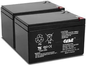 Casil 12V 10Ah Replacement Battery Compatible with APC Smart-UPS SMT1000 SMC1500 SMT1000C SMT1000US SU1000 SU1000BX120 SUA1000US SUA1000 2 Pack