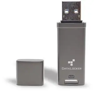 DataLocker DL GO Encrypted USB Flash Drive | USB 3.2 Gen 1 | AES 256-bit XTS | FIPS 197 | IP68 Rugged | TAA Compliant - 4GB