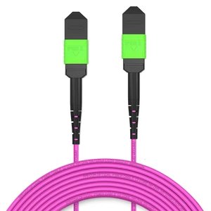 AMPCOM MPO to MPO Trunk Cable 50/125m Multimode OM4 (12 Fiber, Female, Type B, LSZH/Riser, APC, Magenta) 20m (65.5ft) AMPCOM MPO to MPO Trunk Cable 50/125m Multimode OM4 (12 Fiber, Female, Type B, LSZH/Riser, APC, Magenta) 20m (65.5ft)