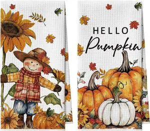 Sunflower Scarecrow Pumpkin Fall Bar Kitchen Towels 12x24 Inch Quick Dry Microfiber Cloth Dish Towels for Kitchen Drying Set of 2