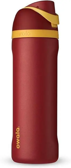 Harry Potter FreeSip Insulated Stainless Steel Water Bottle with Straw BPA-Free Sports Water Bottle Great for Travel 24 oz Gryffindor