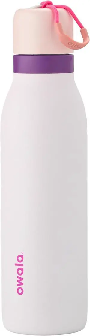 FreeSip Twist Insulated Stainless Steel Water Bottle with Straw for Sports and Travel BPA-Free 18-oz Pink/Purple (Dreamy Field)