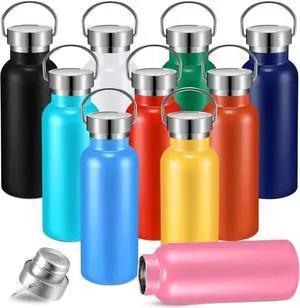 10 Pcs 17 oz Stainless Steel Sports Water Bottle Insulated Reusable Water Bottles with Handle Metal Bottle for Hikers Gift 10 Colors