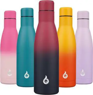 Insulated Water Bottle 17oz Stainless Steel Water Bottles Diashwasher Safe Reusable Metal Thermos Keep Cold and Hot Charming Black Red