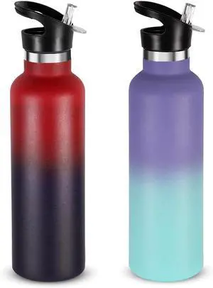 24oz Insulated Water Bottles Bulk 2 Pack Stainless Steel Double Wall Sport Bottle with Straw Lid Metal Reusable Thermoses Cup with Hand Cap for School Cyclists Hikers Gift (Assorted Set of 2)