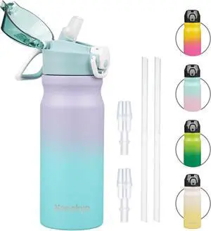 Insulated Water Bottle with Straw and Carry Loop 18 oz Stainless Steel Double Wall Vaccum Metal Water Flask with Leak-proof Lid Oasis