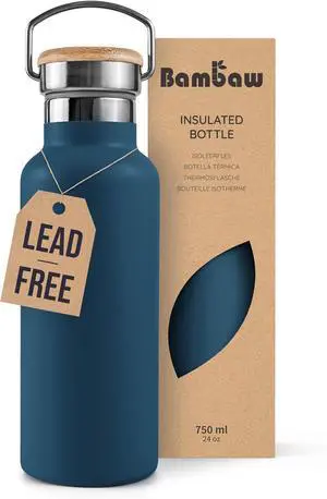 Insulated Water Bottle 24oz Blue Water Bottle for Hiking Stainless Steel Water Bottle Water Bottle with Handle Metal Water Bottle Wide Mouth Steel Water Bottle  Aegean Blue