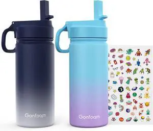 Kids Water Bottle 2-Pack 16oz Kids Water Bottle with Stickers for School insulated Stainless Steel Straw Cup(Gray+Blue)