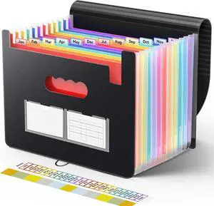 Accordion File Organizer 13 Pockets Expanding File Folder Portable Monthly Paper Bill Tax Receipt Organizer Letter A4 Size Document Holder with Blank Labels Black