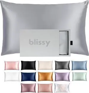 Blissy Silk Pillowcase - 100% Pure Mulberry Silk - 22 Momme 6A High-Grade Fibers - Silk Pillow Cover for Hair & Skin - Regular Queen & King with Hidden Zipper (Queen Silver)