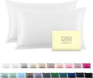 Silk Pillowcase for Hair and Skin Soft Breathable and Sliky 100% Standard Size Pillow Cases Set of 2 Both Sides Natural Mulberry Silk Pillowcases with Hidden Zipper(Standard Size 20X 26 2pcs)