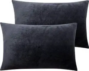 2 Pack Zippered Velvet Queen Pillowcases Super Soft and Cozy Luxury Fuzzy Flannel Pillow Cases with Zipper 20x30 Inches Charcoal Grey