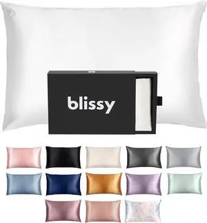 Blissy Silk Pillowcase - 100% Pure Mulberry Silk - 22 Momme 6A High-Grade Fibers - Pillow Cover for Hair & Skin - Regular Queen & King with Hidden Zipper (Standard Blissy White)