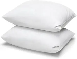 Luxury Hotel Pillows for Sleeping 2 Pack Bed Pillows Standard Size Set of 2 Down Alternative Filling Pillows for Back Stomach and Side Sleepers