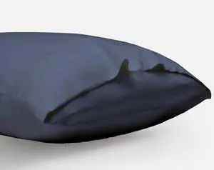 DOZ Pillowcase Set 100% Viscose derived from Bamboo Organically Grown Buttery Soft Silky Breathable Cooling Oeko-TEX High GSM 2-Pack Envelope Closure (Queen Sapphire)