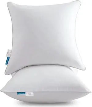 20 x 20 Throw Pillow Inserts (Set of 2) with 100% Cotton Cover - 20 Inch Square Interior Decorative Sofa Pillow Insert Pair - White Couch Pillow