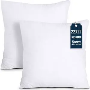 Throw Pillows Insert (Pack of 2 White) - 22 x 22 Inches Bed and Couch Pillows - Indoor Decorative Pillow