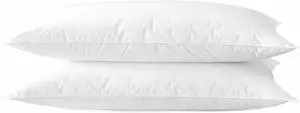 Ultra Thin Flat Soft Bed Pillows Standard Size Set of 2 Pack for Sleeping 20x26 Hypoallergenic Skin Friendly Machine Washable
