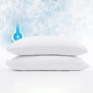 Power Chill Cooling Pillow Protectors Stain Resistant and Zippered Pillow Protector Protects Pillow from Dust and Dirt King White 2 Count ( Pack of 1)