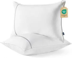 Queen Pillows Set of 2 Luxury Hotel Firm Pillows for Sleeping Decoration Strip Diamond Design Cover Fluffy Original Down Alternative Filling for Side Back or Stomach Sleepers