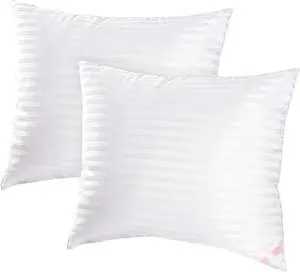 Throw Pillow Inserts Machine Washable Pillows Premium Polyester Fiber Fill for Sofa Bed & Decorative Cushions (White 18x18inch)