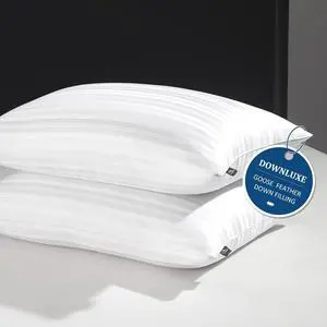 Goose Feather and Down Pillows - Hotel Collection Feather Pillows Set of 2 for Back Stomach or Side Sleepers Queen Size (20x28)