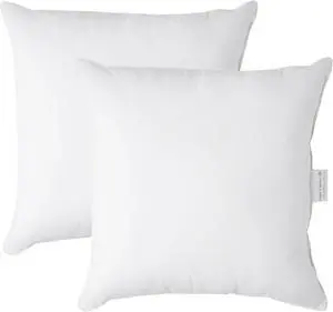 Throw Pillow Insert - Pack of 2 16x16 Pillow Inserts for Decorative Pillow Covers Throw Pillows Insert for Couch - White